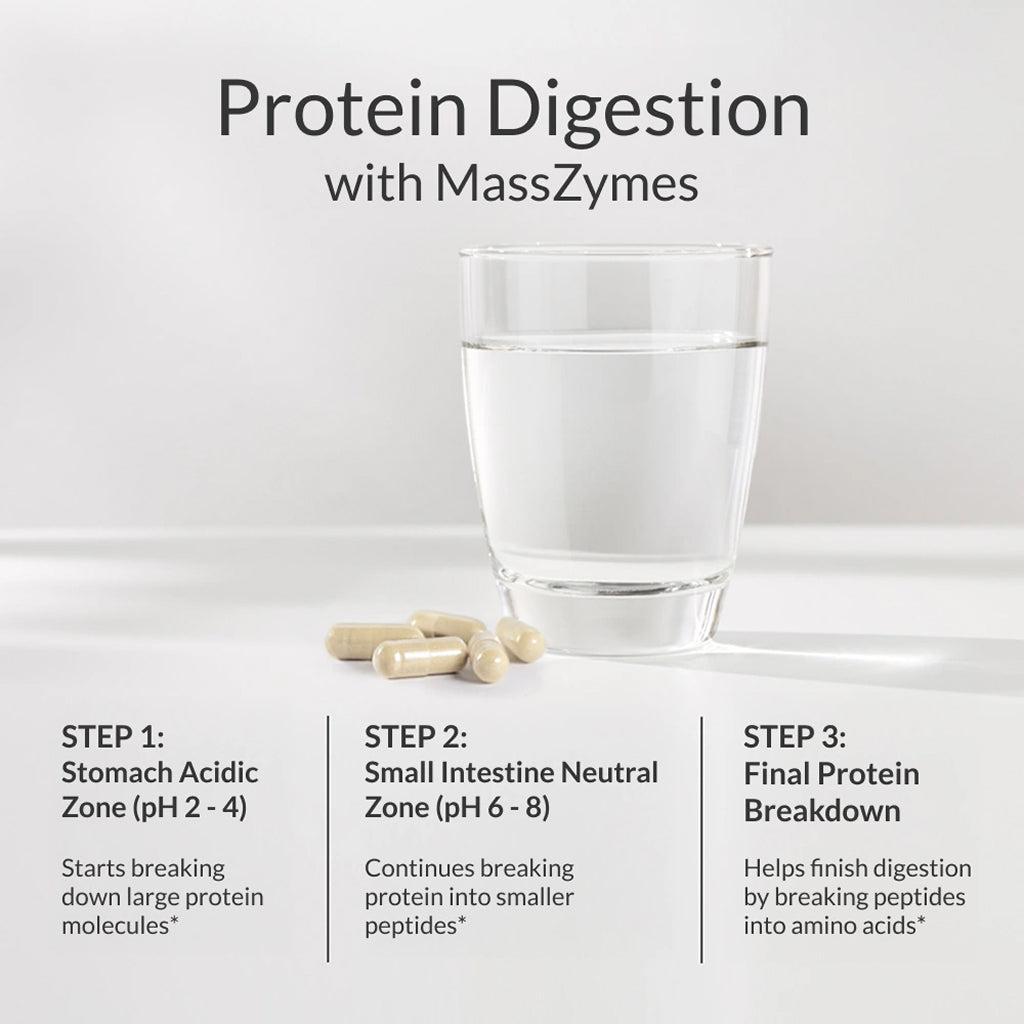 Masszymes Enzimas Digestivas