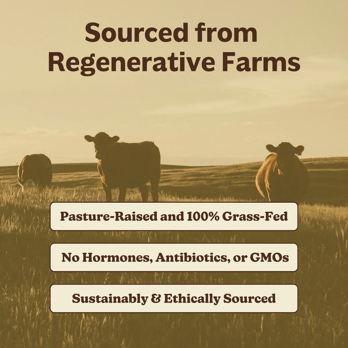 MK Supplements Grass-Fed Beef Liver